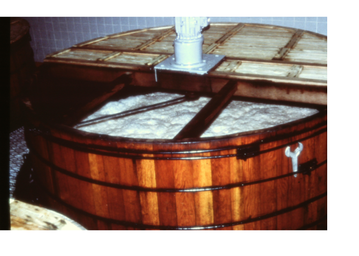 Fermentation in progress