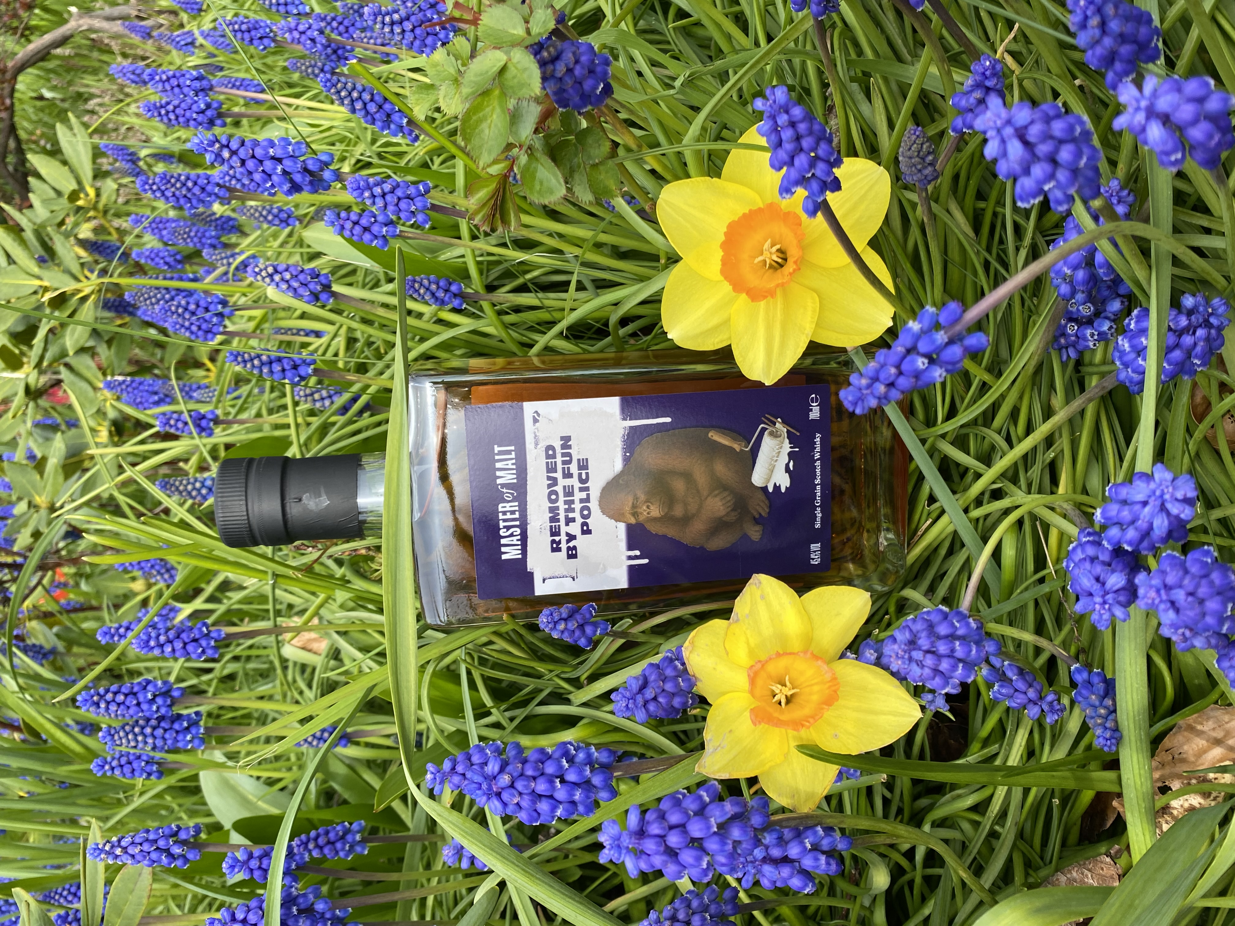 Dalry M*** 2026 by Atom Brands / Master of Malt