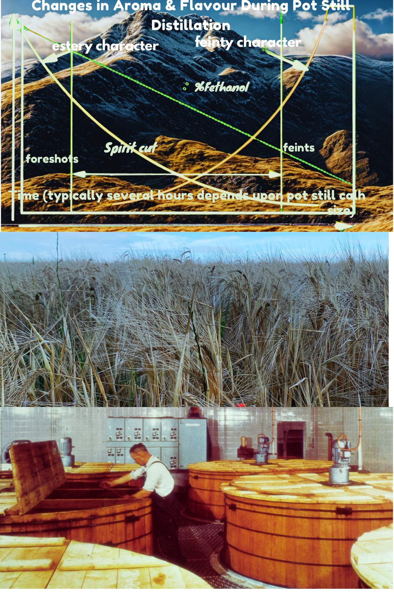 Distillery operations and research